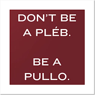 Don't be a Pleb. Be a Pullo Posters and Art